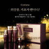 [km]코리아나 제니스웰 콜라겐 앱솔루트 기초 5종세트