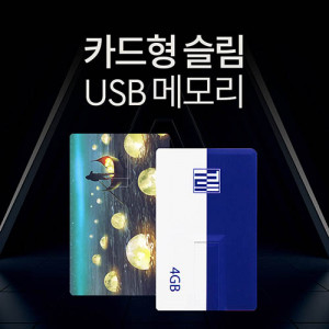 [km]투이 카드형 USB 메모리 4G